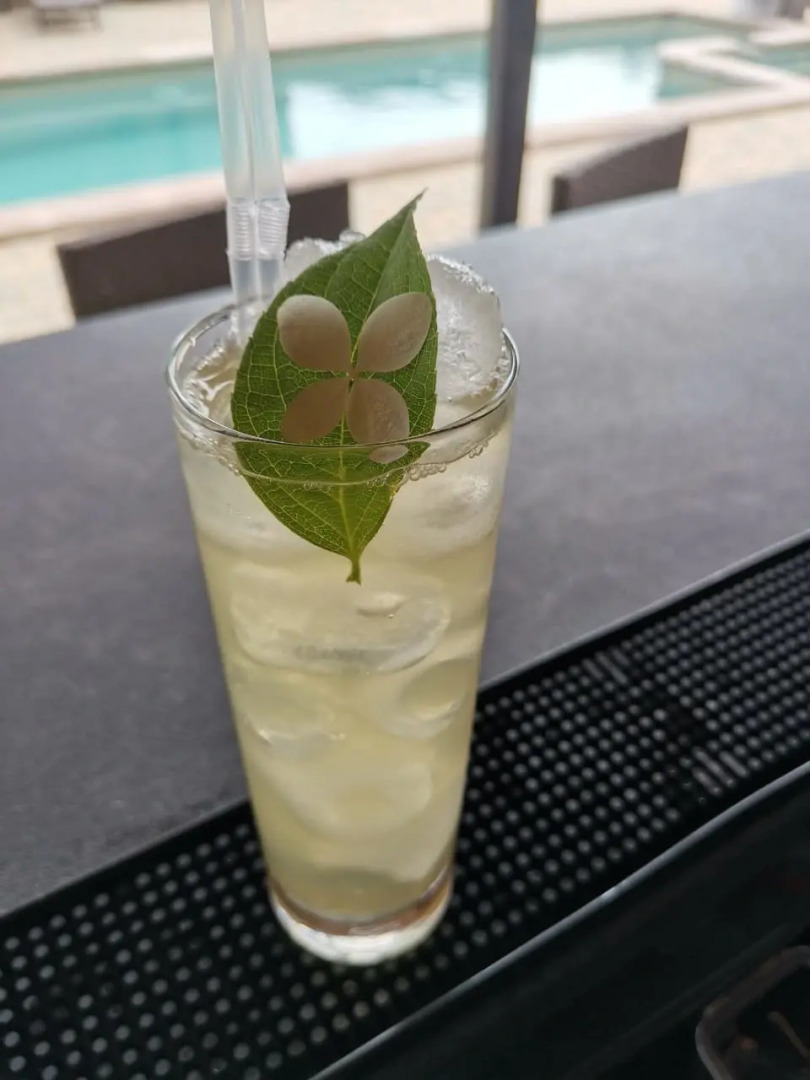 Отель Гостинично-ресторанный комплекс Al Mare