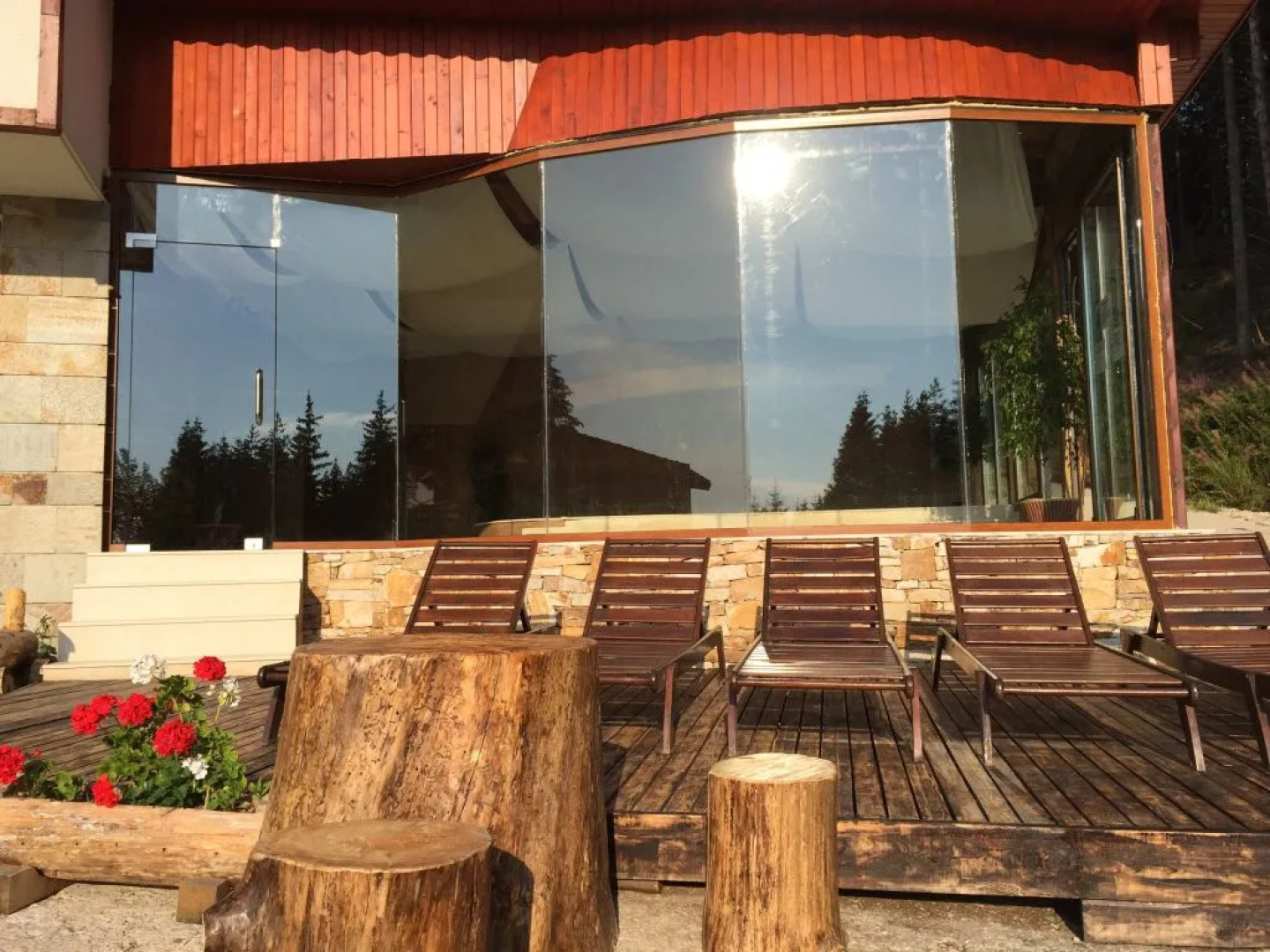 Отель Forest Glade