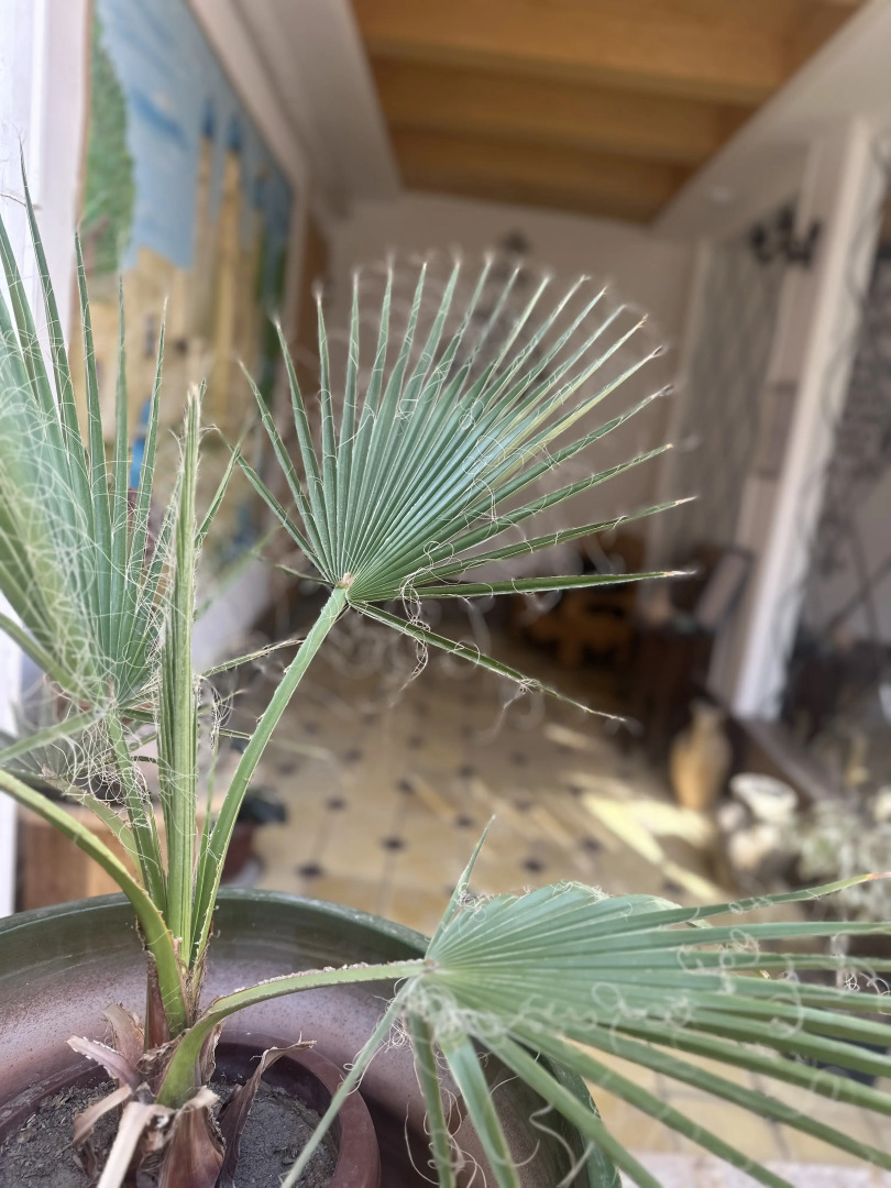 Гостевой Дом Dolon House