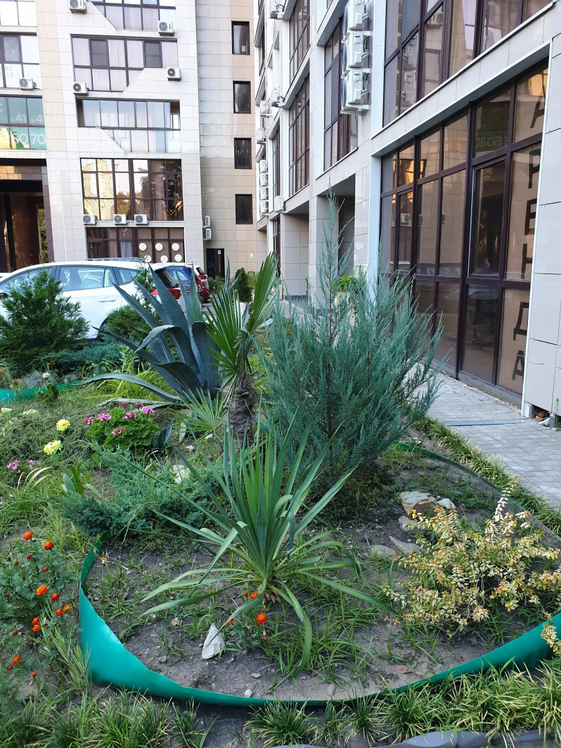 Апарт-отель Аk Rose Del Mare