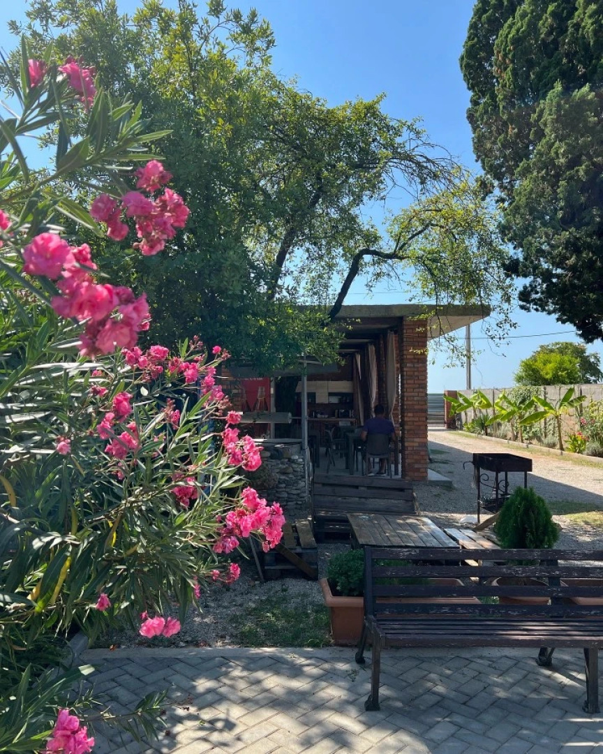 База отдыха Шезлонг