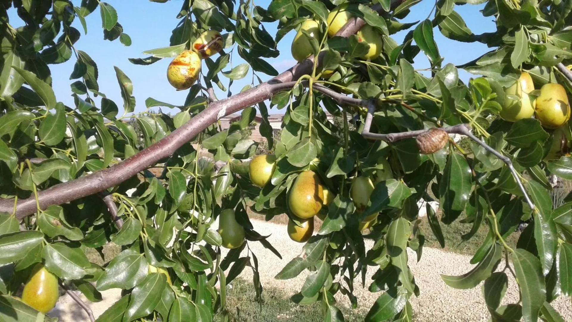 База Отдыха Эко Курорт Морское