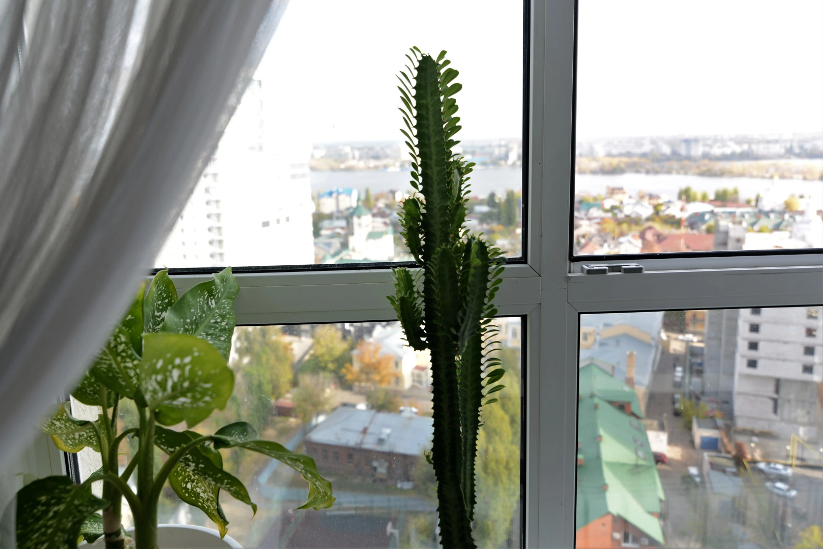 Апартаменты Проспект Революции 9-А-239