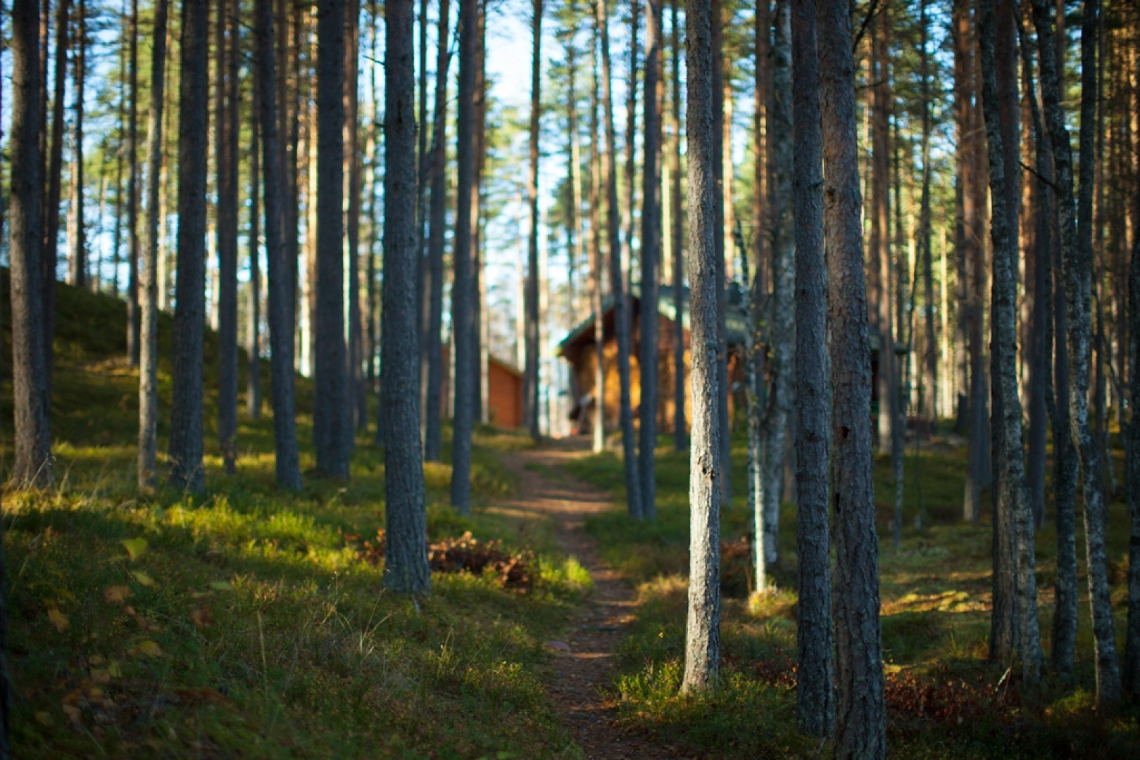 База отдыха Громово Парк