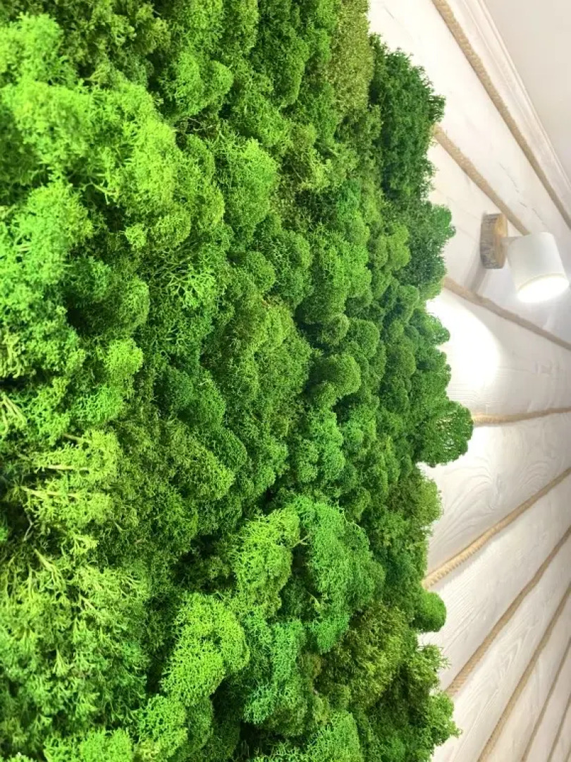 Апартаменты Эко&loft 1