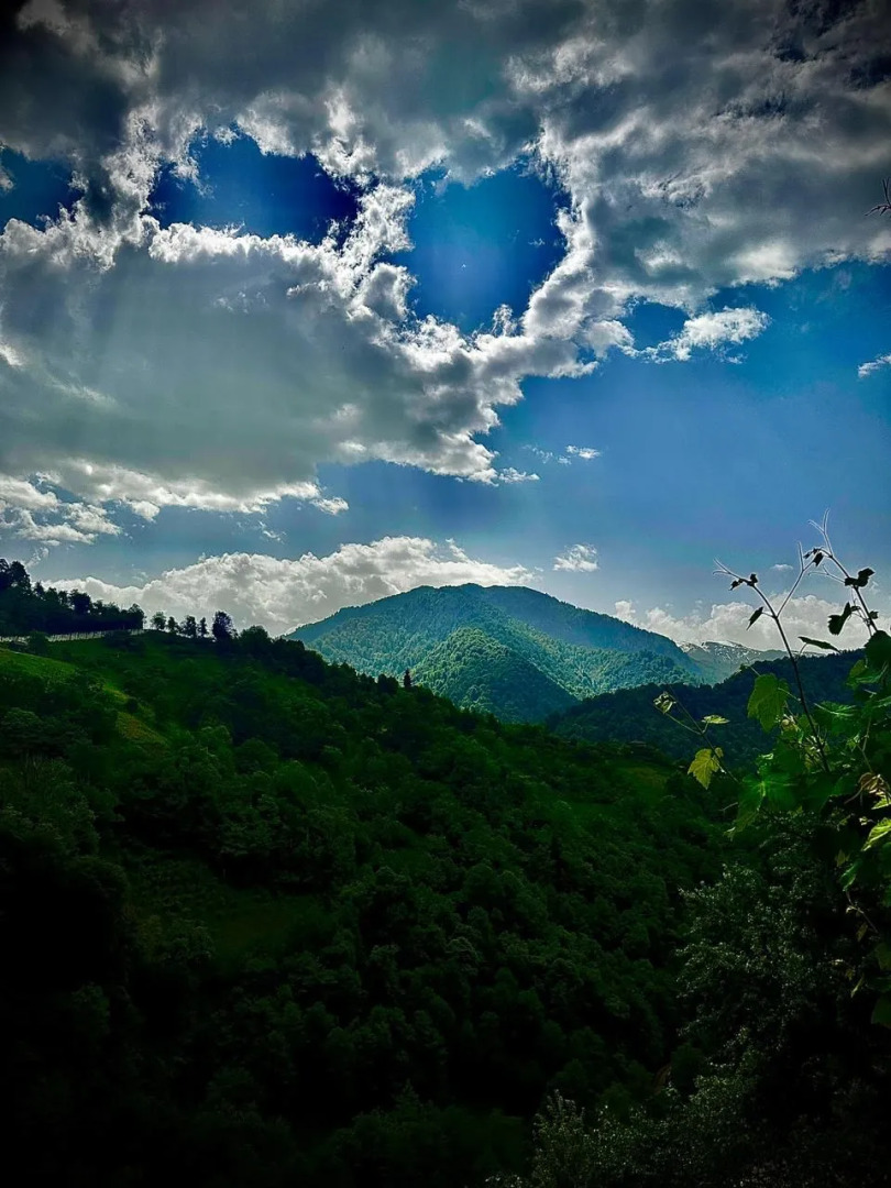 Chalet GreenWood Cottages Merisi