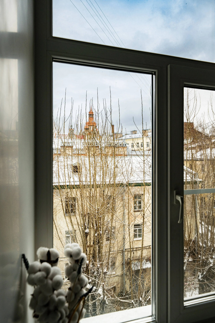 Квартира Видовая в Петербурге Достоевского