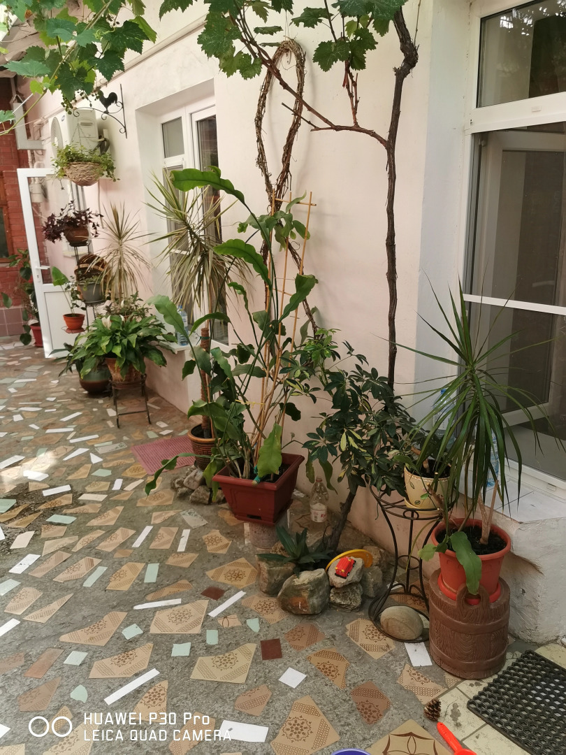 Квартира дом Людмила