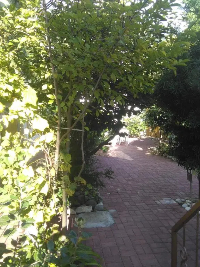 Мини-отель Marco Club