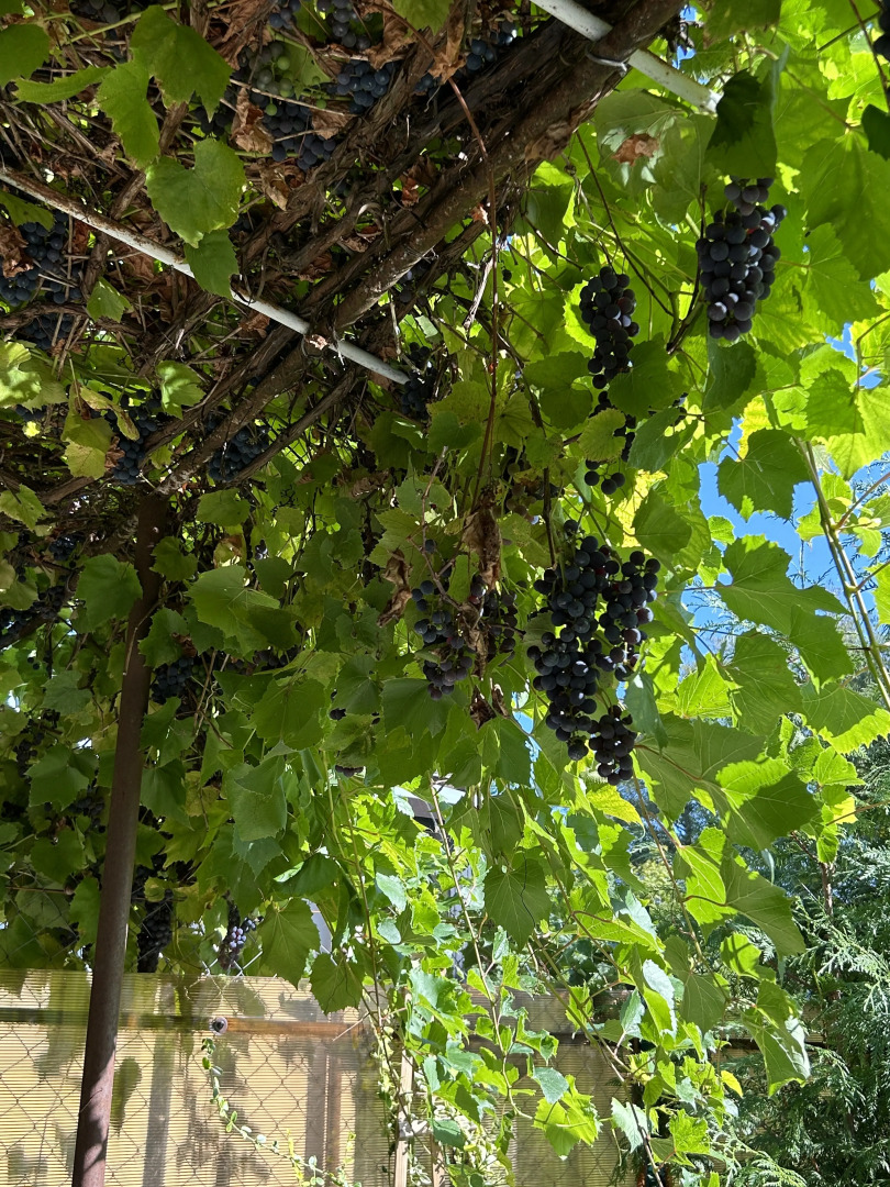 Апартаменты с панорамным окном