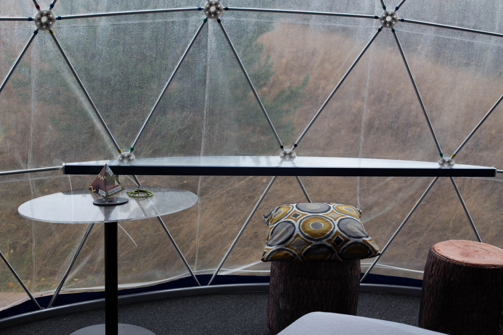 Папоротник