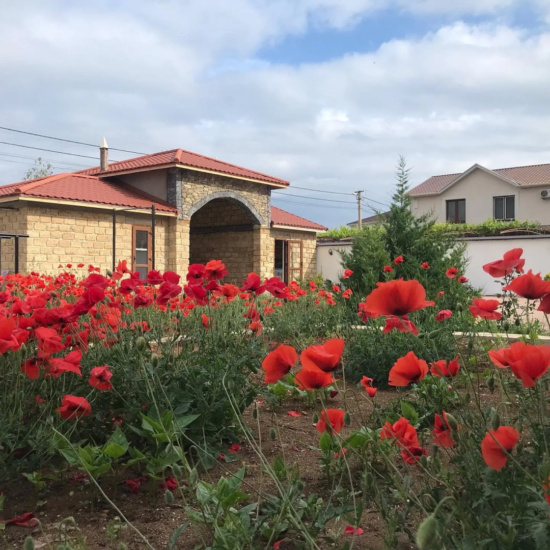 Гостевой дом Маалле