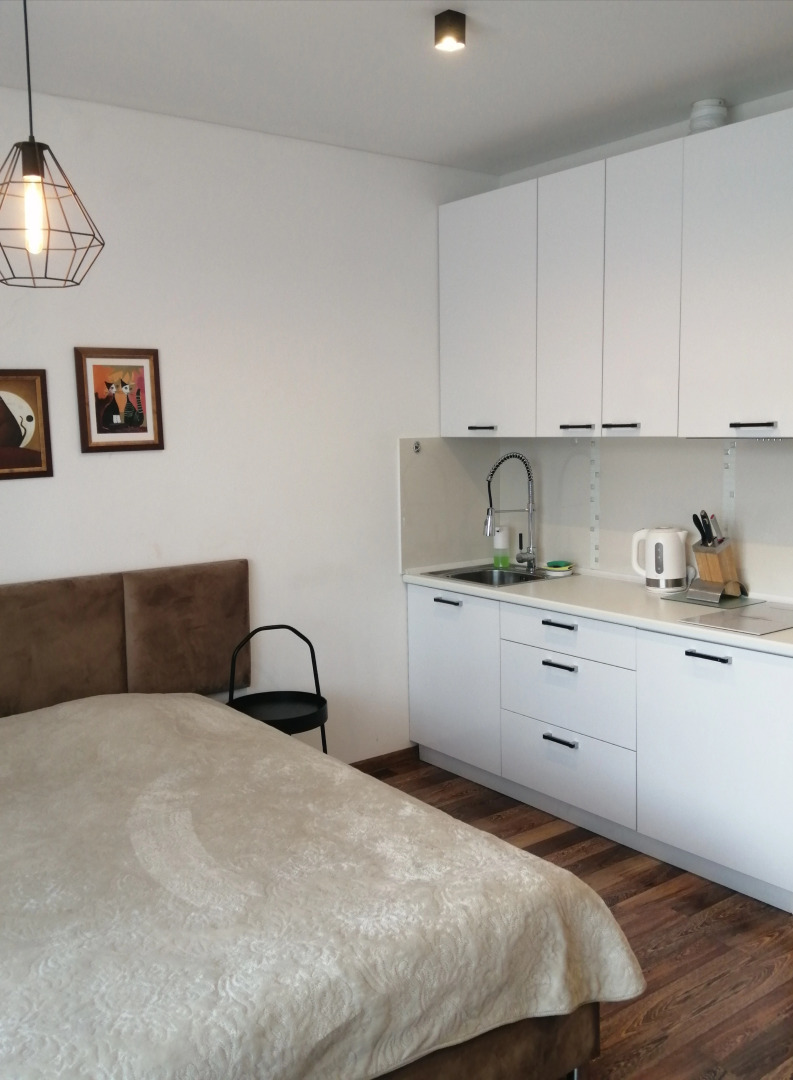 Квартира в исторической части города центр