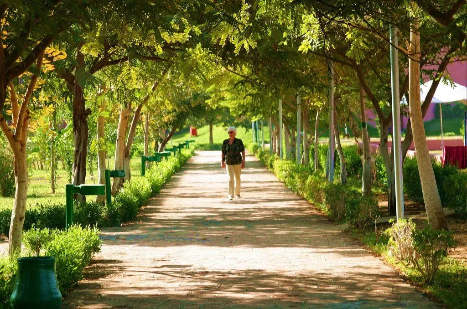 Obelisk Nile Hotel Aswan