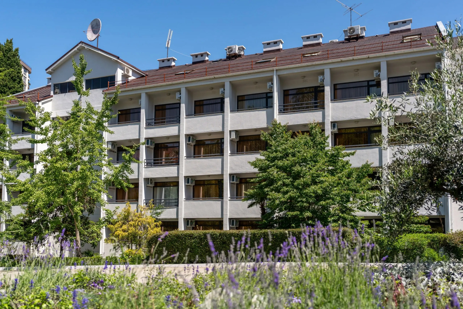 Пансионат с лечением Сокол