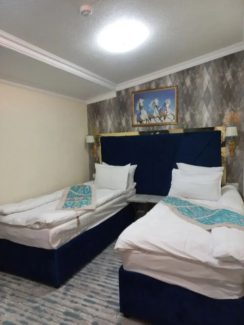 Отель Sherdor Registan