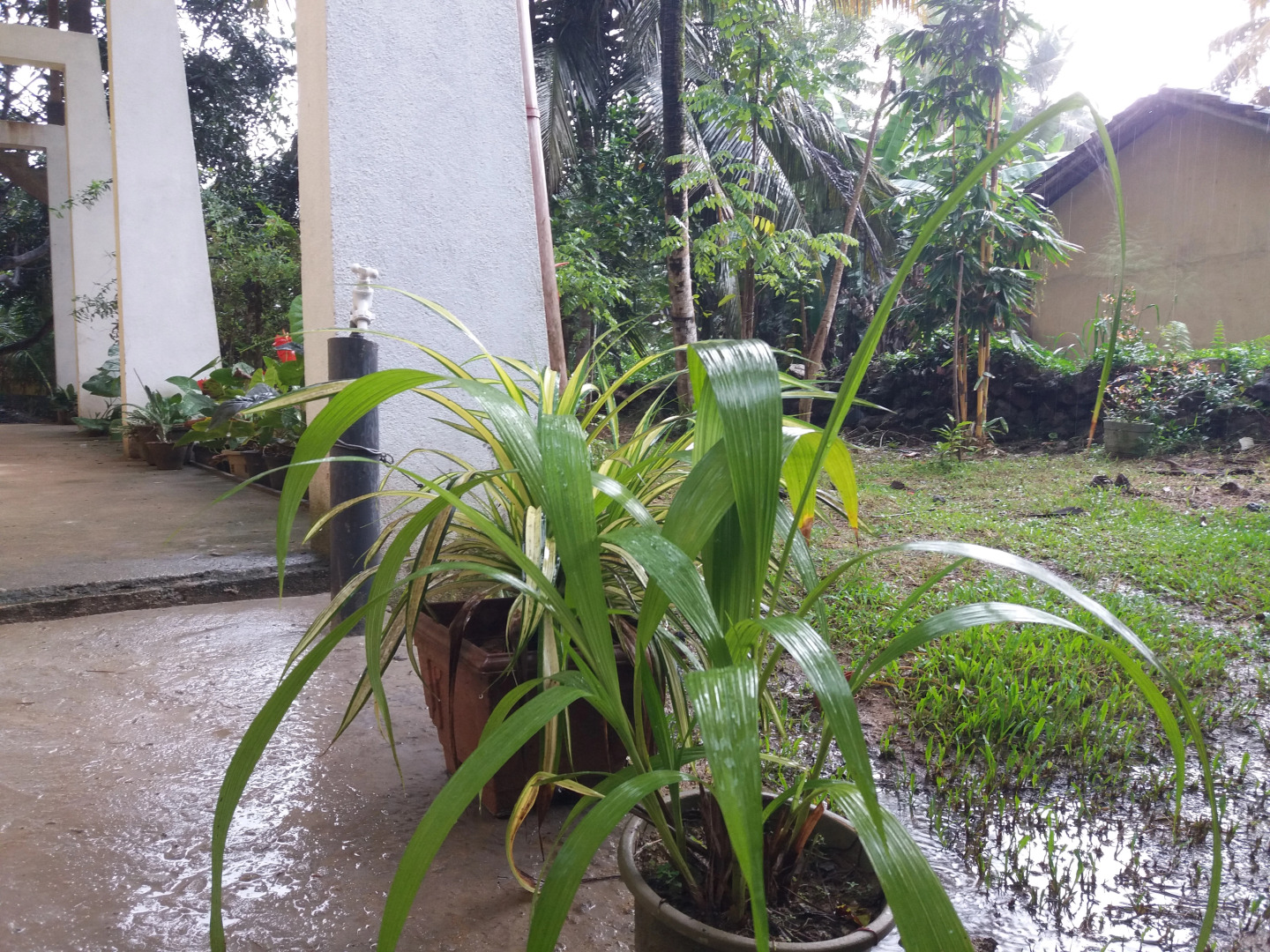 Апартаменты Villa Four Seasons 2 - One bedroom