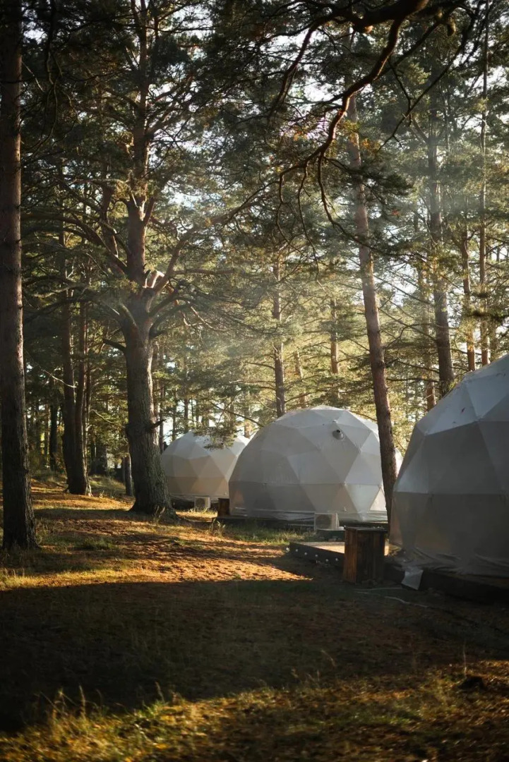 Глэмпинг Веззика