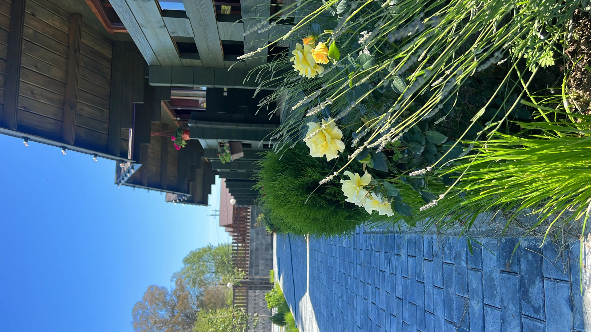 База отдыха Гостевой двор Апра