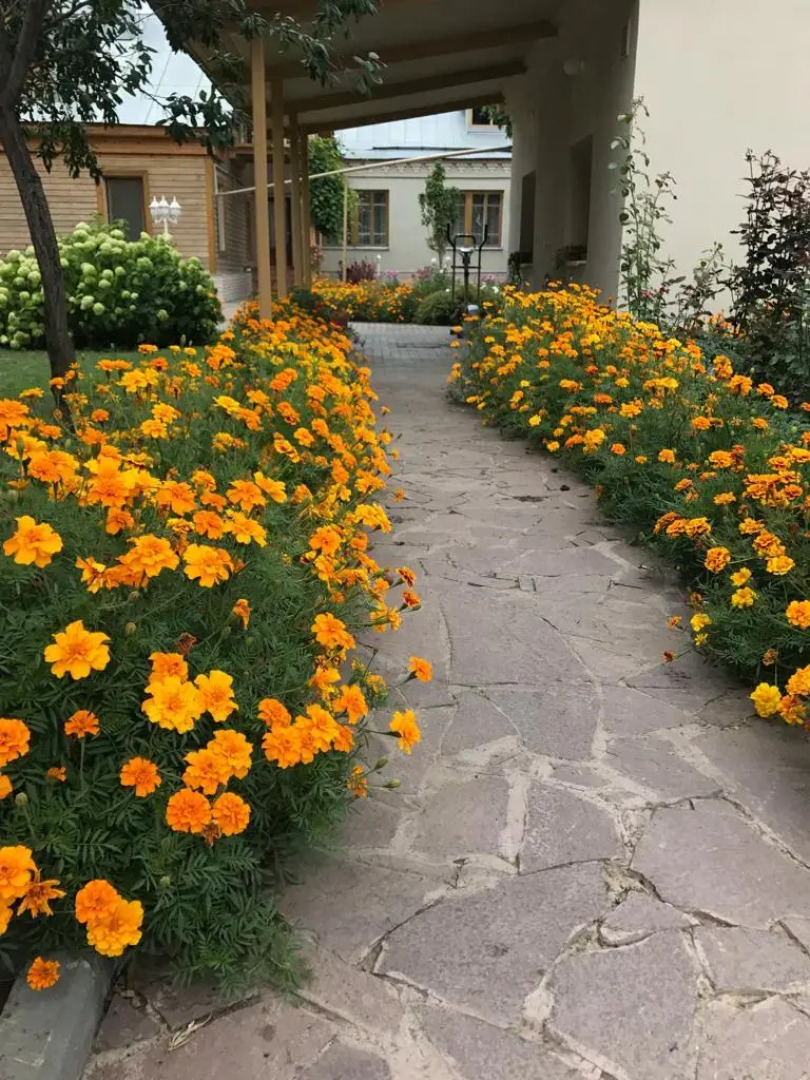 Гостевой дом на Кызыл Армейской