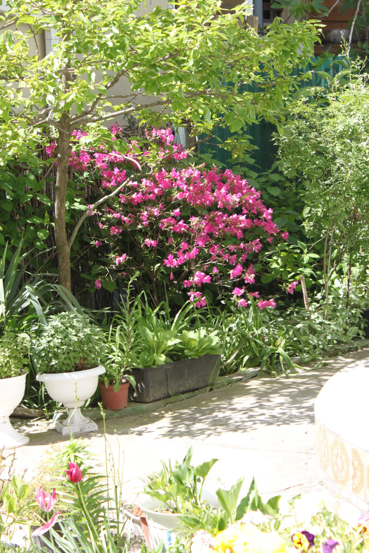 Dobro Pozhalovat Guest House