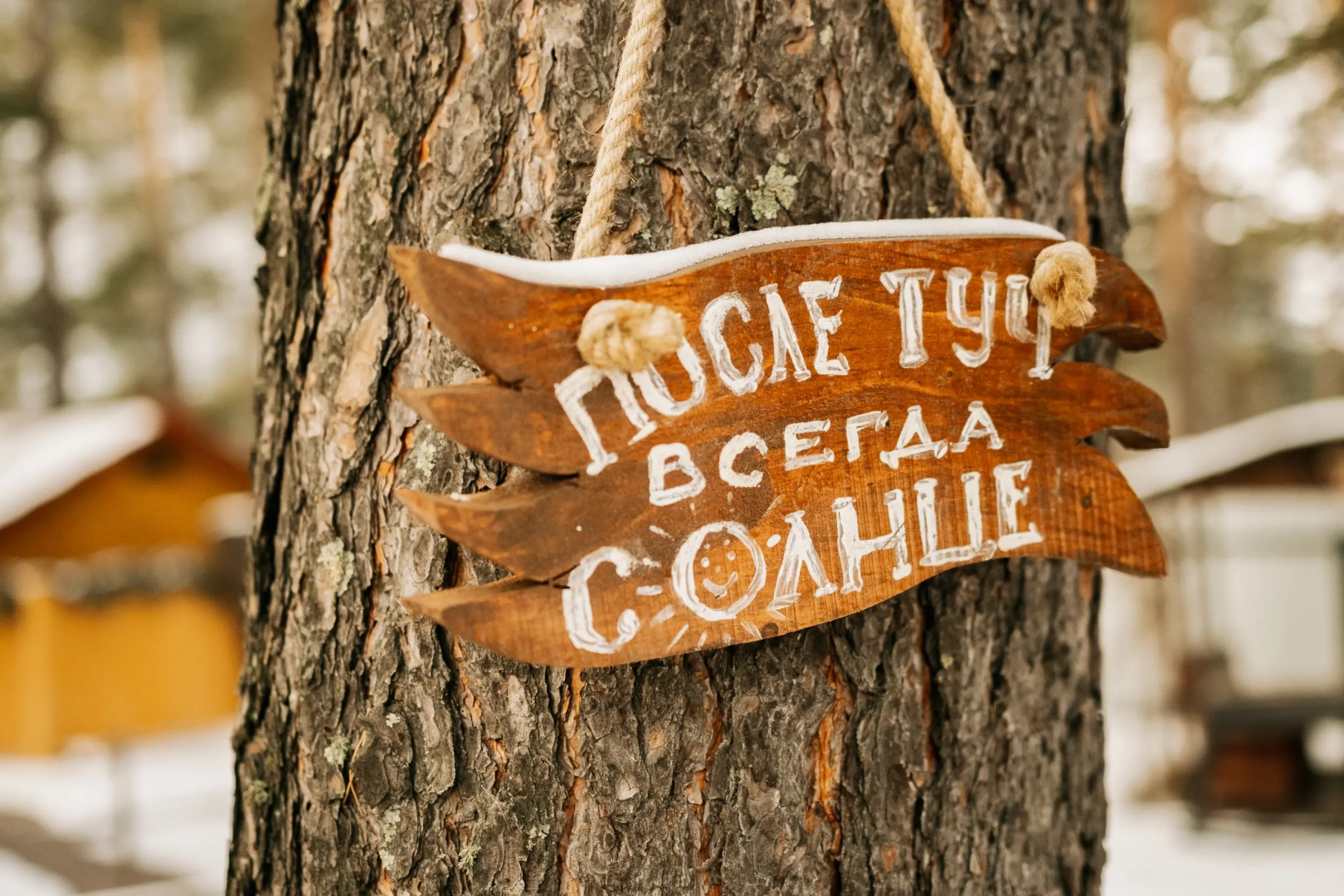 Гостевой дом Светоч