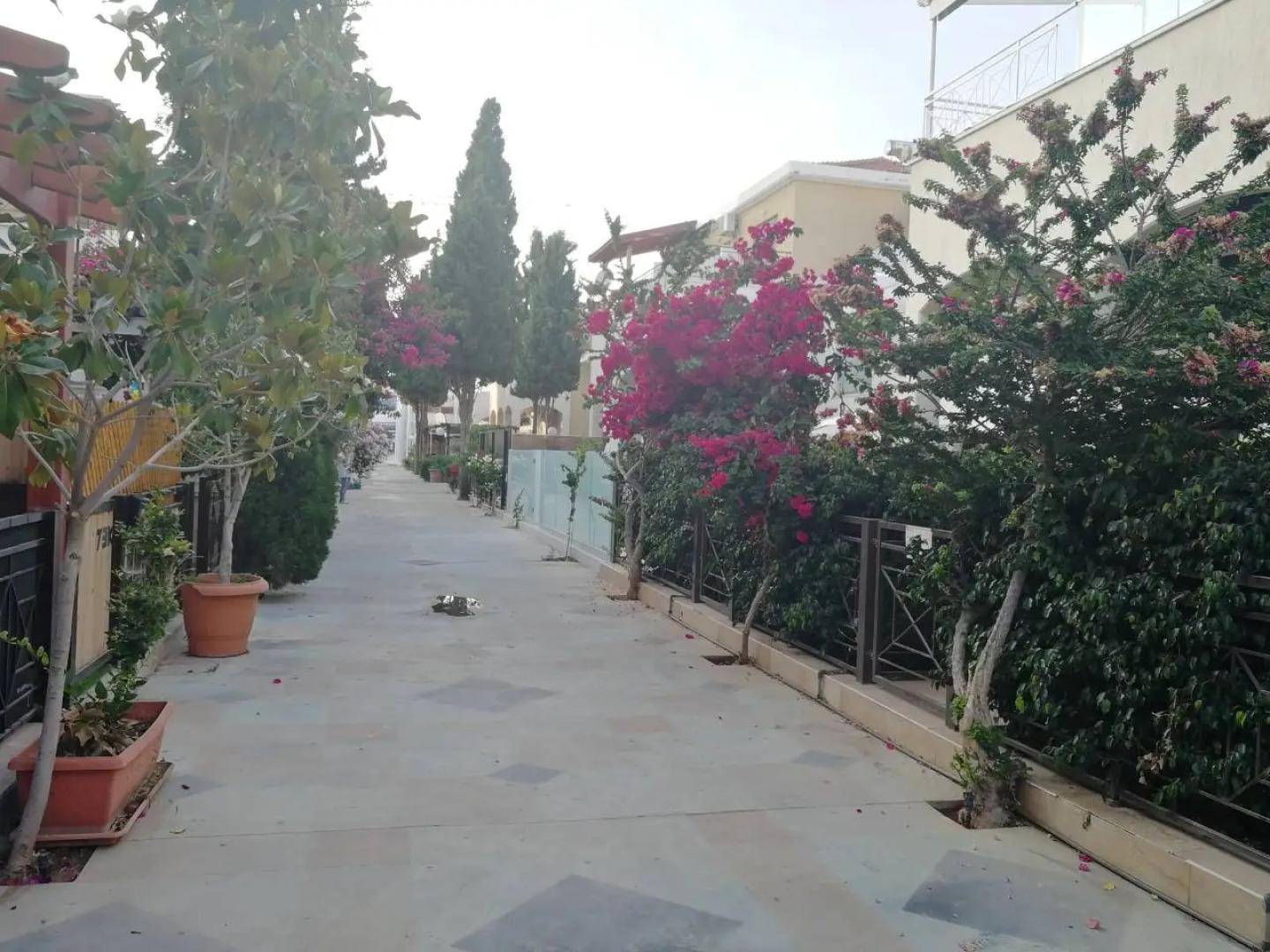 Апарт-Отель Alex Kotov