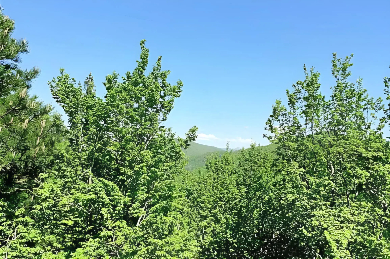 Гостевой Дом Бревенчатый