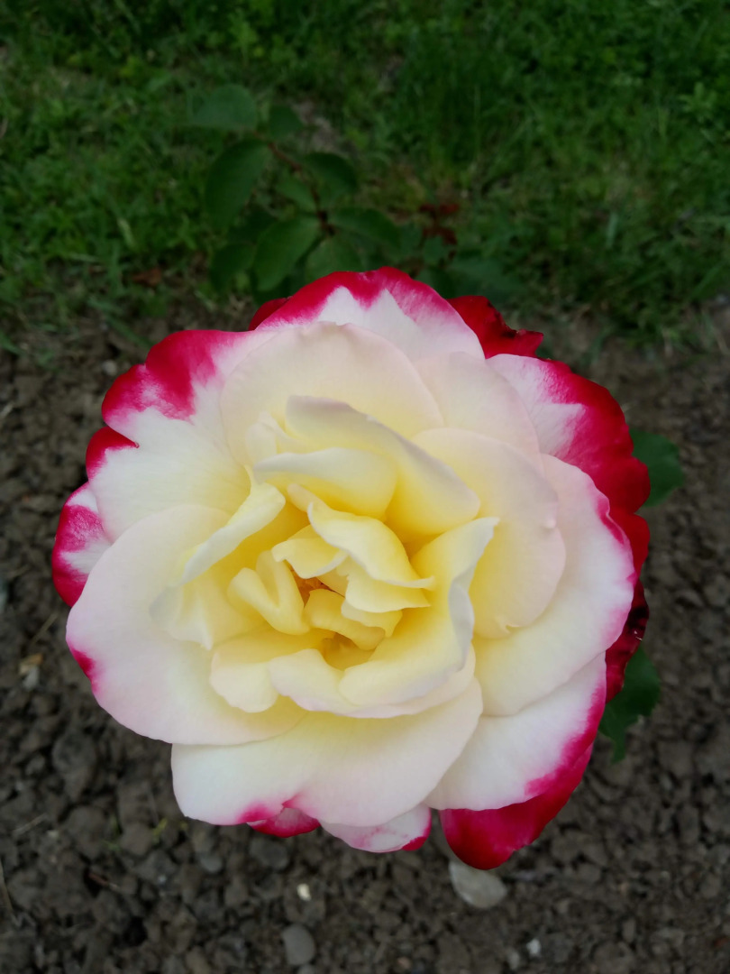 Гостевой дом Космос