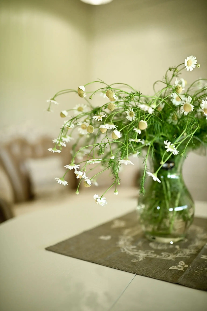 Шале Белый Прованс