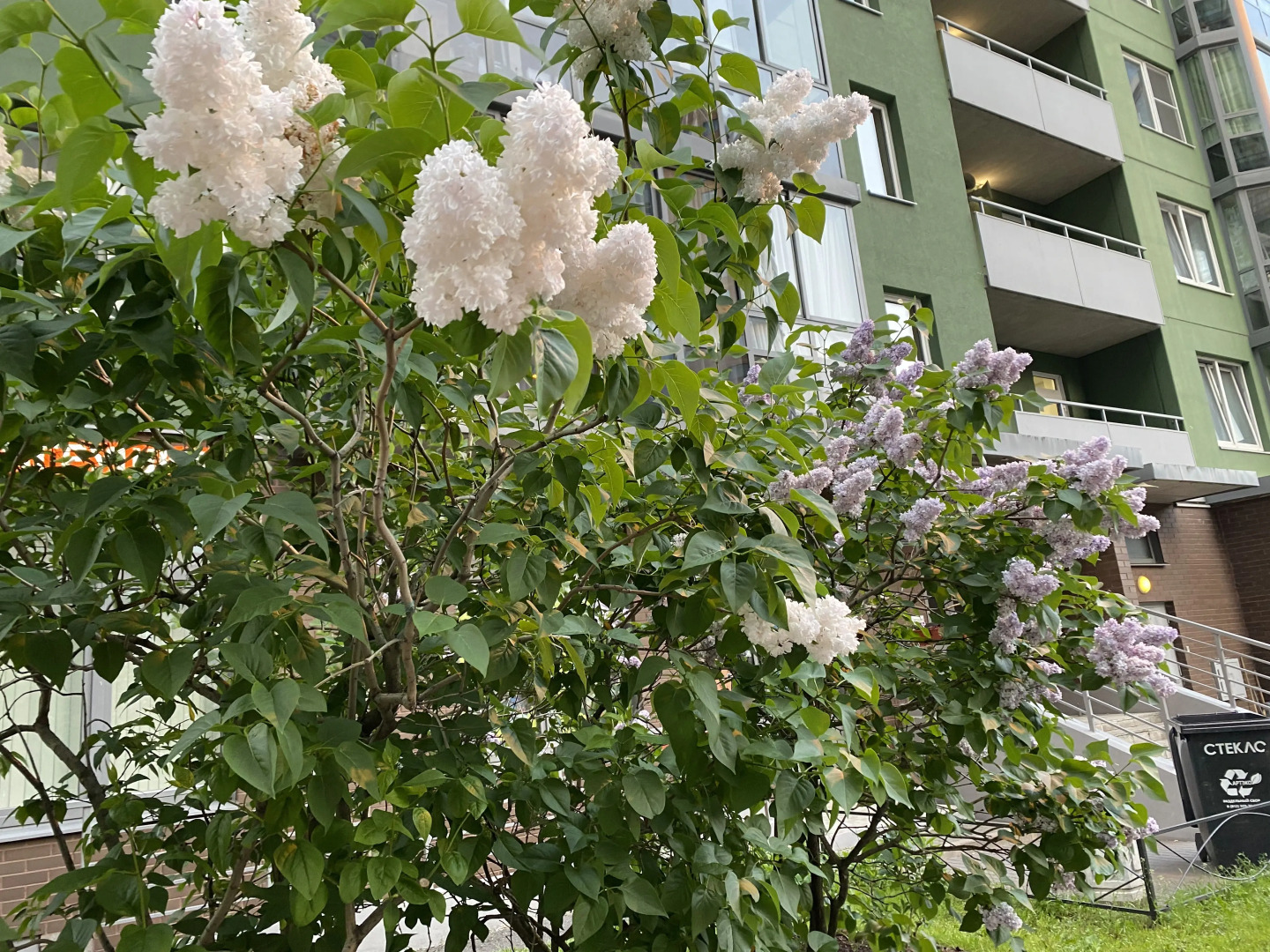 Квартира Уютная Студия Шоколад Рядом с Метро