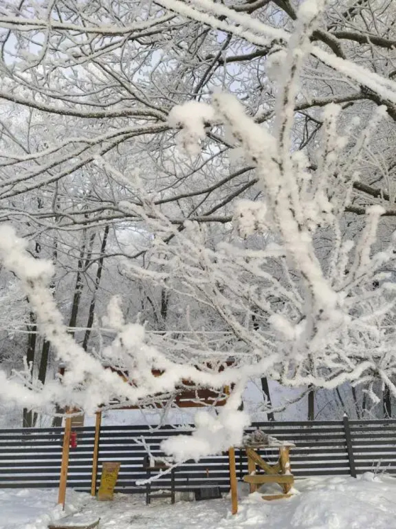 Частный Дом на Реке Green Place House