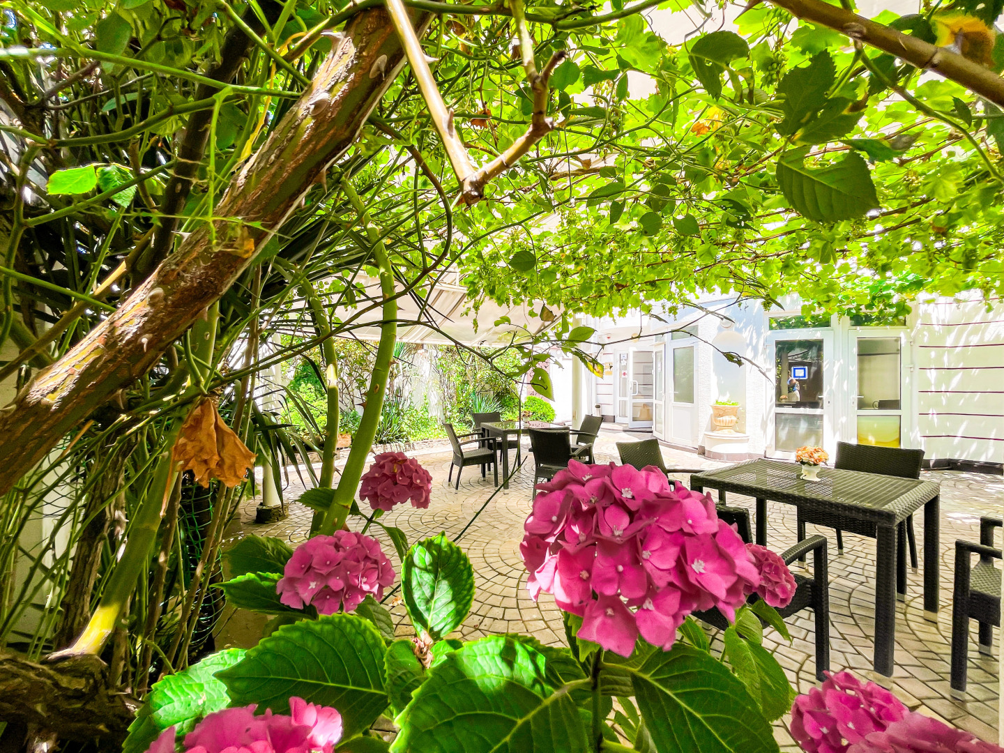 Гостевой дом Ардо