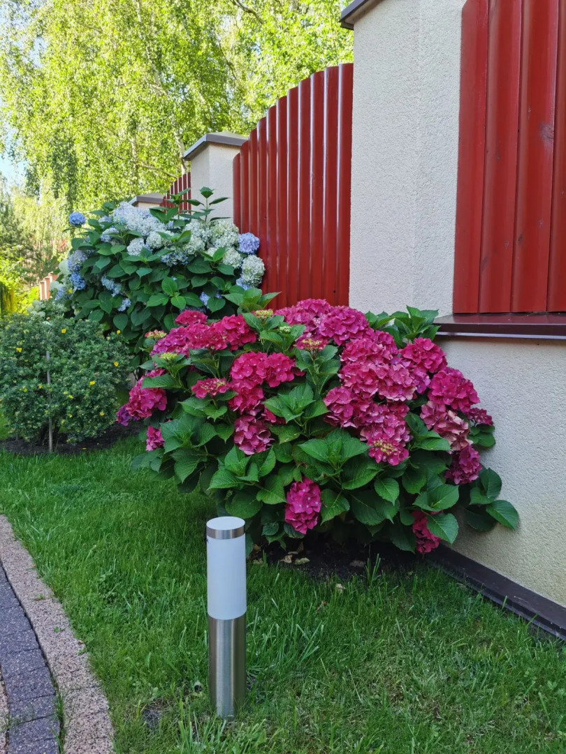 Гостевой дом Forester