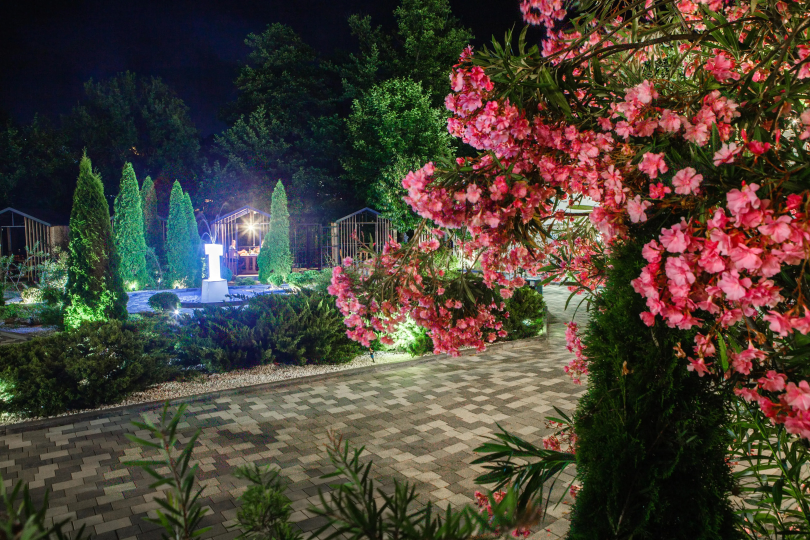 Отель Cosmos Smart Sochi Tivoli
