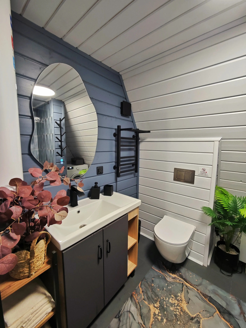 Частный дом Лесной Aframe