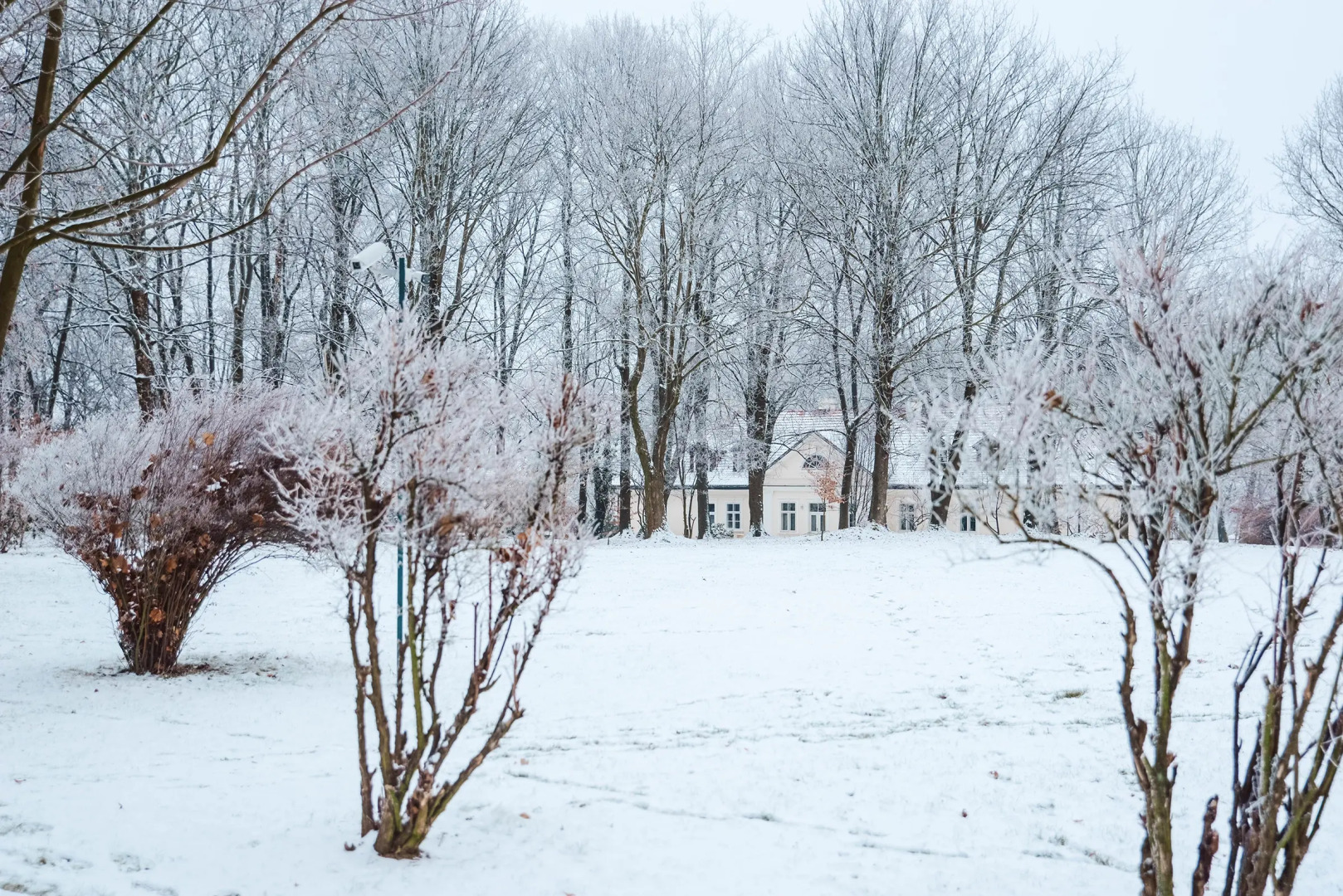 Dwór w Tomaszowicach