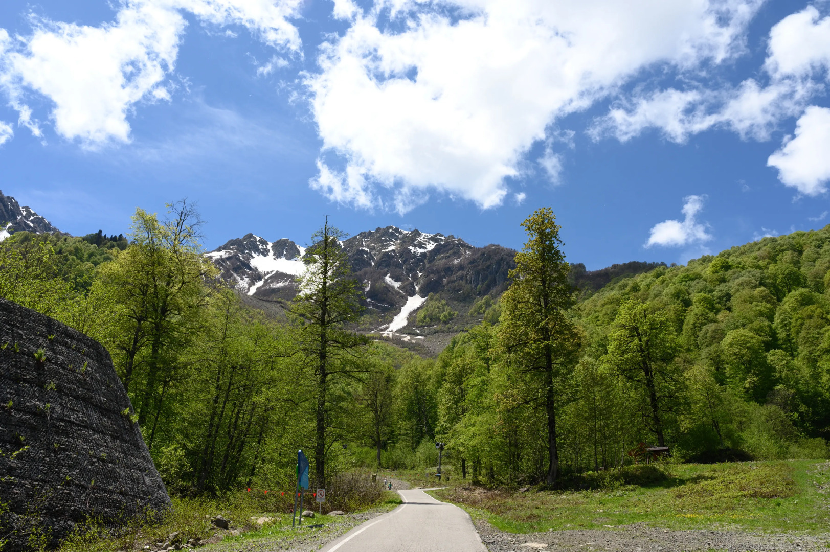 Глэмпинг Эндемик