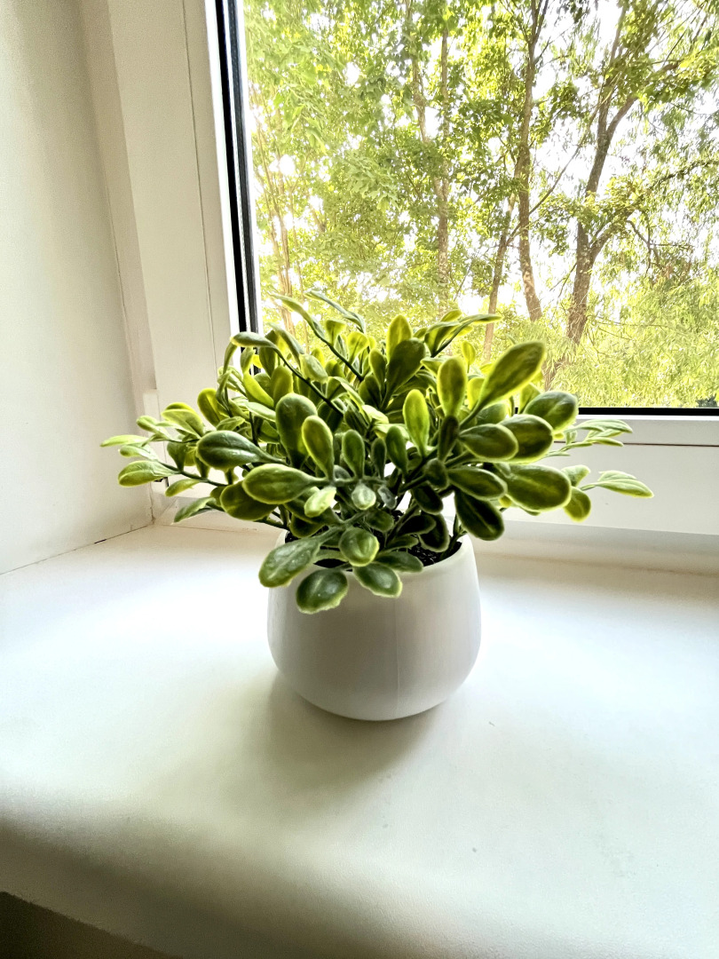 Квартира  Mukava Perheasunto Sortavalassa