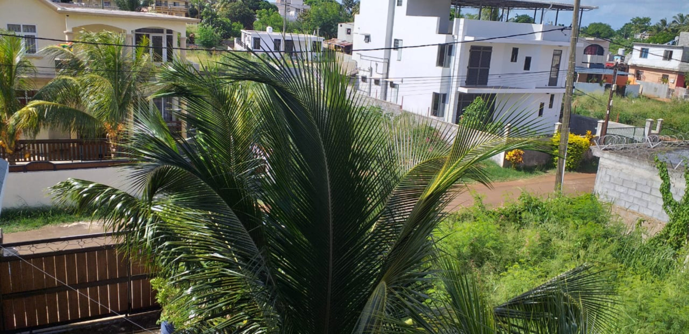 Вилла Палмс