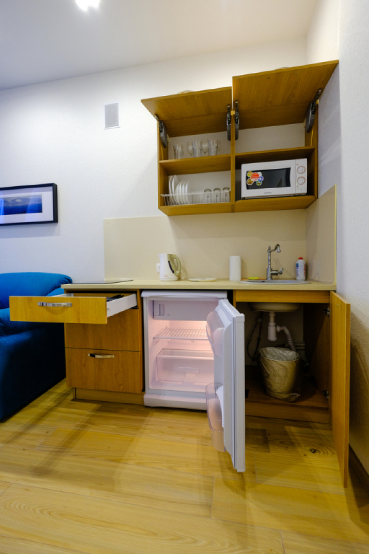 Апартаменты Петровские на Советской 90 (4)