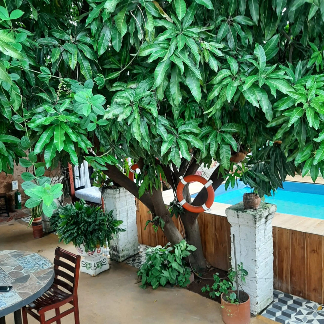 Бутик-отель Casa de Los Santos Reyes Valledupar