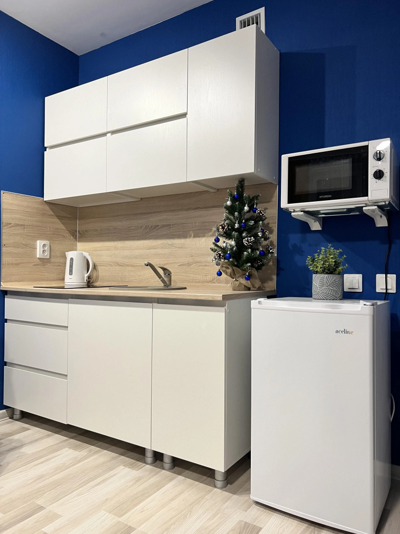 Квартира Яркая студия в Академе