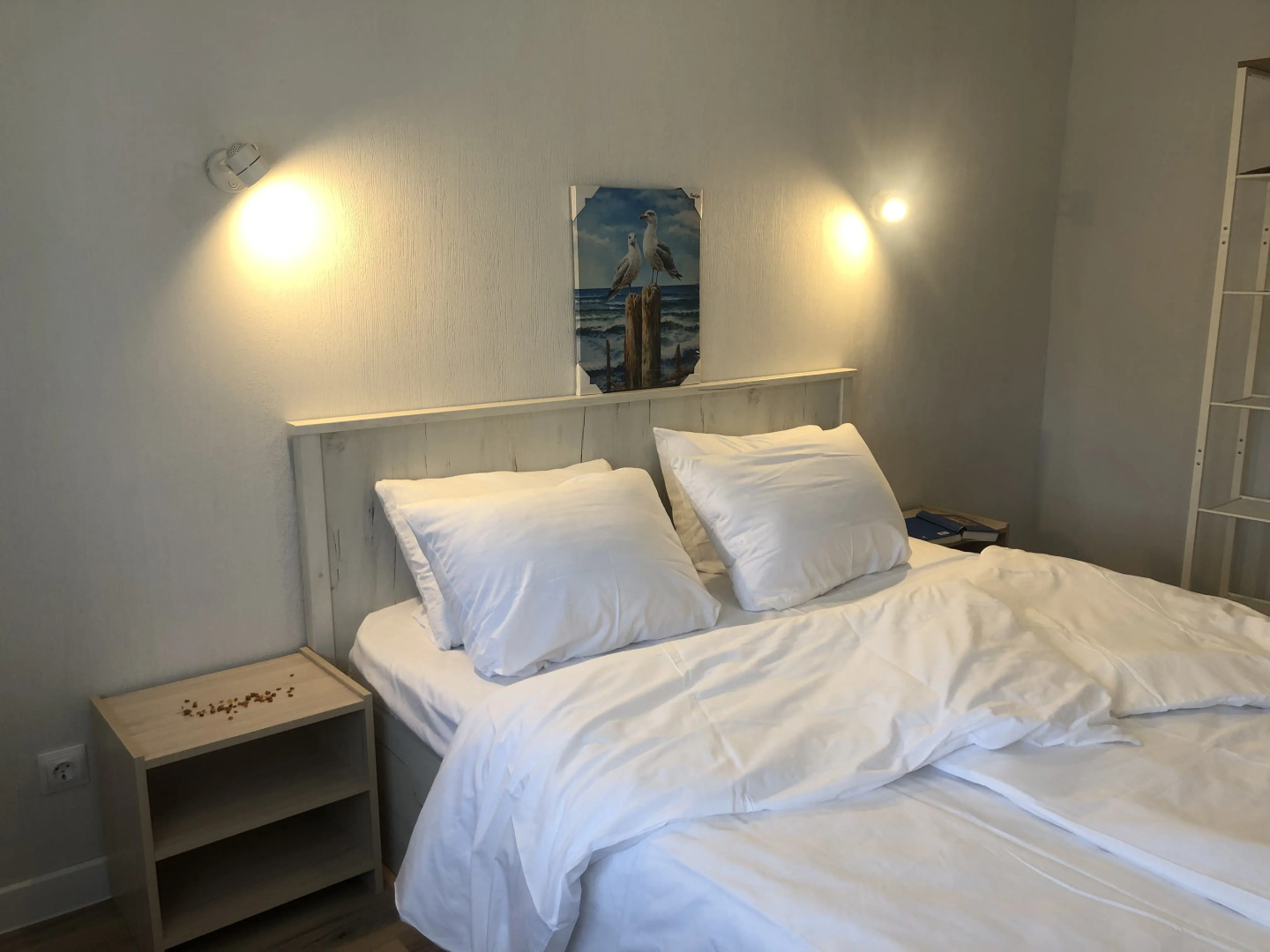 Апартаменты Чайка на Куршской косе