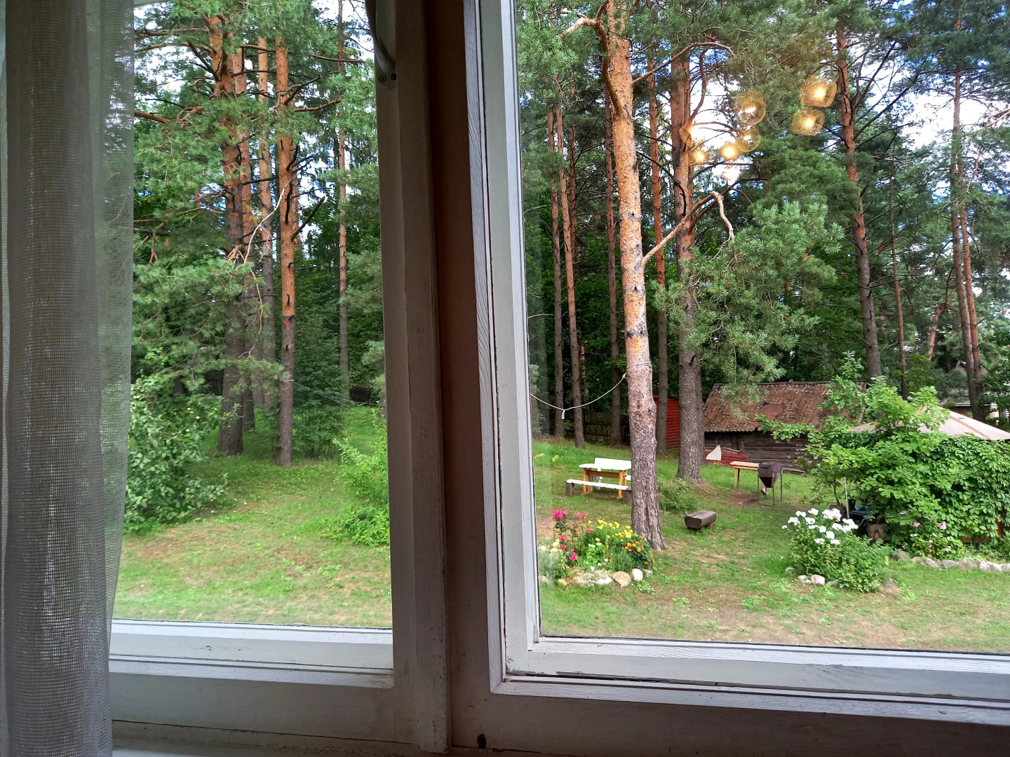 Дом у сосен