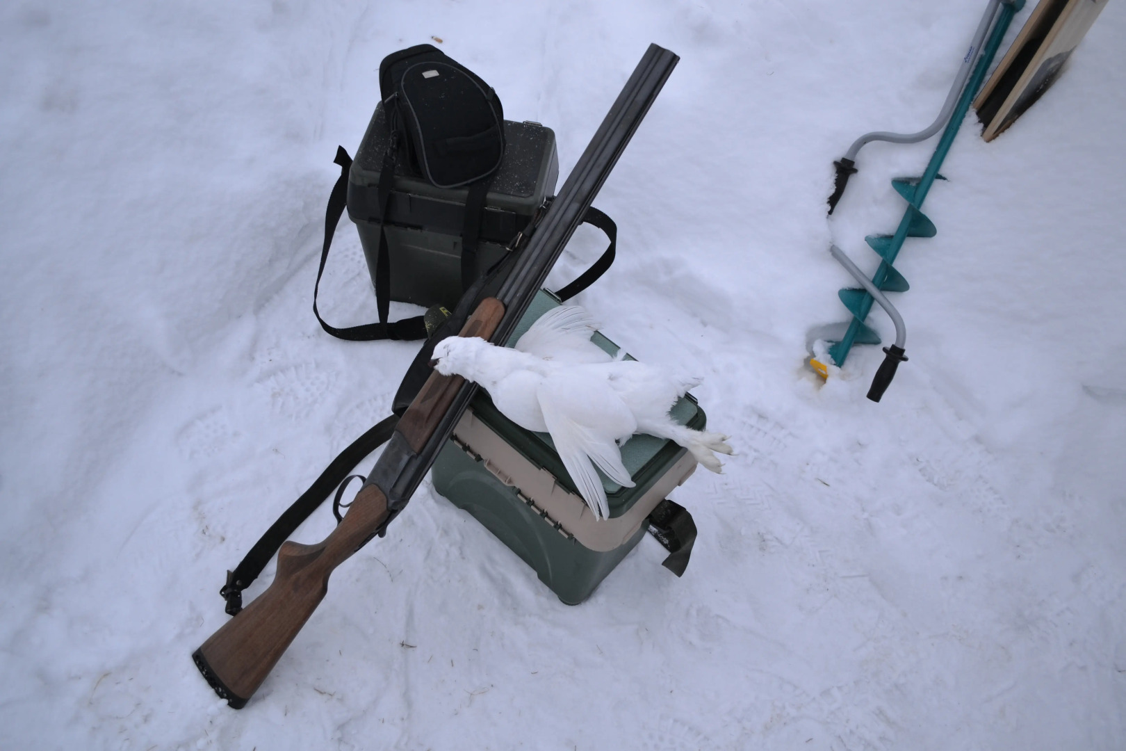 Гостевой дом Холм