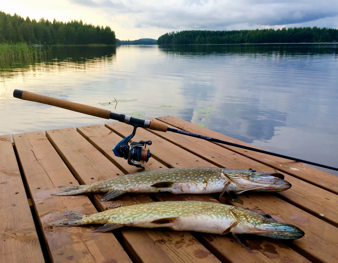 Вилла Энонтур