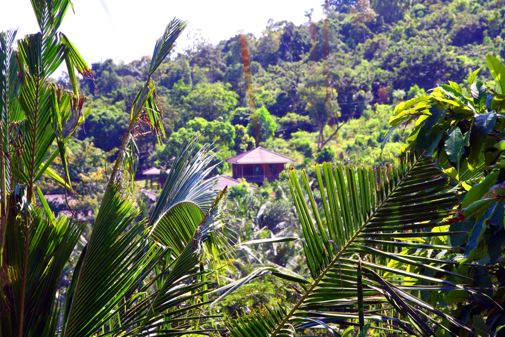 CoCo Boutique Resort
