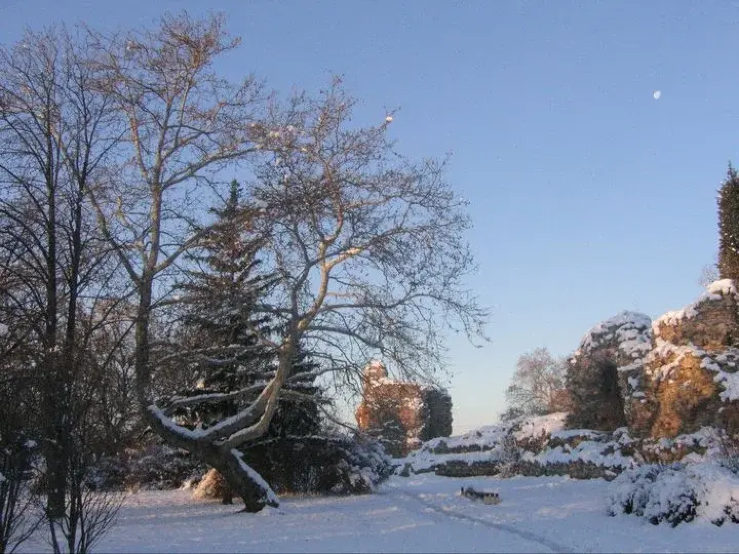 Отель Чинар