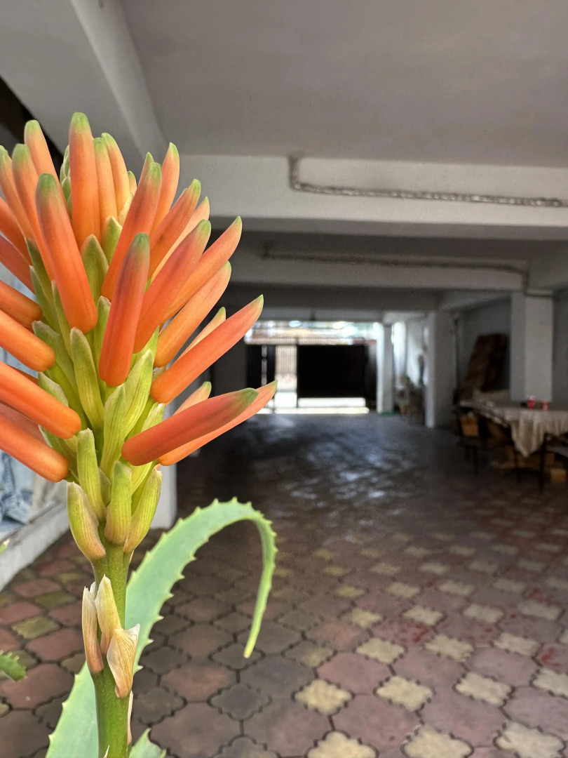 Гостевой дом МартЛен